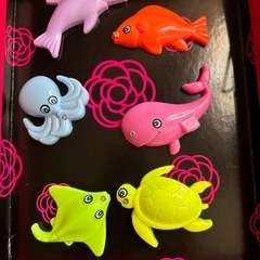 釣りのおもちゃ🎣
の画像
