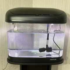 台付きインテリア水槽60cmファイブプラン濾過&照明付き