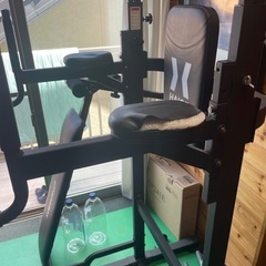 ハイガー公式 懸垂マシン ぶら下がり健康器 懸垂バー プラップバー チンニング 筋トレの画像