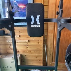 ハイガー公式 懸垂マシン ぶら下がり健康器 懸垂バー プラップバー チンニング 筋トレの画像