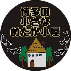 めだか　販売激安店