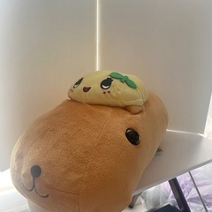 カピバラさん×ふなっしーコラボぬいぐるみ