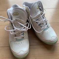 ⭐️在庫処分品⭐️  バッシュ　アシックス　28センチ