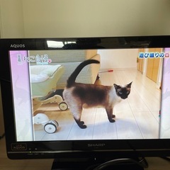 AQUOS デジタルハイビジョン液晶テレビ