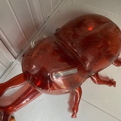 カブトムシ　海に。ビーチ遊びで使える！の画像