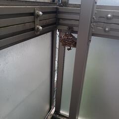 🐝愛知全域どこでも出張！！🐝 − 愛知県