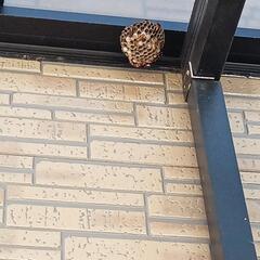 🐝愛知全域どこでも出張！！🐝 - 地元のお店