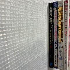 エッセイ漫画４冊