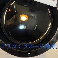 ドラゴンブルーの稚魚（1センチ〜1、5センチ） 6匹500円からで＋１匹50円です。 写真で見るより親個体は体外光がしっかりのっています💡の画像