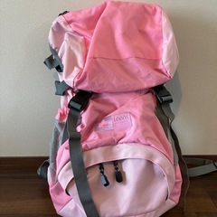 ロゴス　LOGOS 登山　リュック　バックパック　ピンク