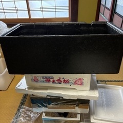 メダカ　黒発泡スチロール