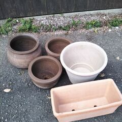 テラコッタ 素焼き 植木鉢 5個セット