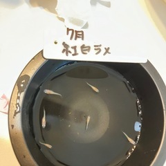 紅白ラメメダカの稚魚（1センチ〜1、5センチ） ５匹500円からで＋１匹50円です。 親個体はバランスよく2色出てます！の画像