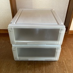 フィッツ