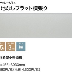 DIY用外壁材：窯業系サイディングボード：フラット：無塗装3mの画像