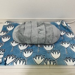 【値下げ中】ダイオウグソクムシ　ティッシュケース