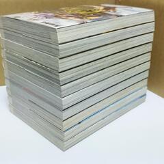 ライドンキング 13 巻セットの画像