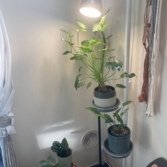 IKEA  スタンドライト
