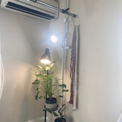 突っ張り棒(皿×2、フック×1付き)