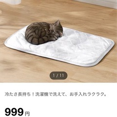 ペット用　ひんやりマット　Nクール