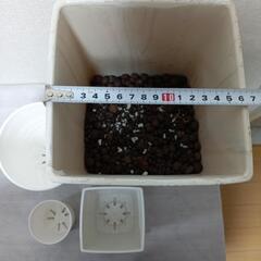 【差し上げます】植木鉢　ガーデニングポット　4個セット　の画像