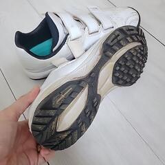 【数ヶ月だけ使用】24.５センチ　野球シューズの画像