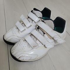 【数ヶ月だけ使用】24.５センチ　野球シューズ