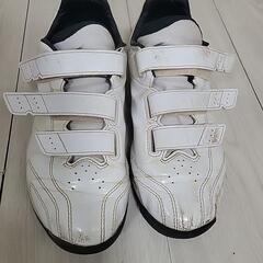 【数ヶ月だけ使用】24.５センチ　野球シューズの画像