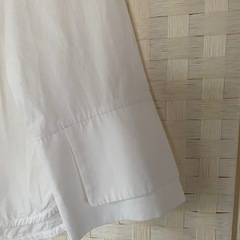 白シャツの画像