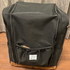 RADICA ペットキャリー　サイクリングライトキャリー
