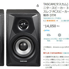 【希少品】TASCAM VL-S3 モニタースピーカー