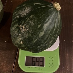 無農薬栽培かぼちゃの画像