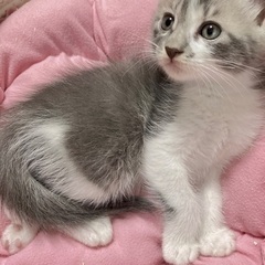たくさんのお問合せをありがとうございました。とても素敵な方とご縁...