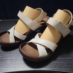 リゲッタカヌー