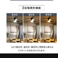 【新品未使用】シーリングファンライトの画像