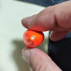 🎣釣具　㉖ウキ　KIZAKURA　GTRスリムМ／00の画像