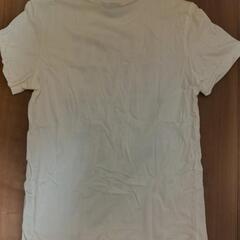 アディダス 半袖Tシャツ 白 メンズ Mの画像