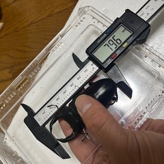 香川県オオクワガタ③
