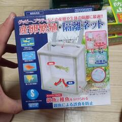 水槽、グッピー、プラティなど産卵の画像