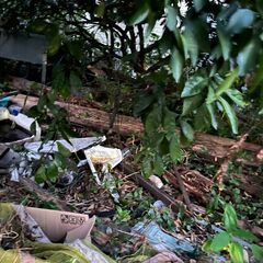 無料！薪ストーブなんかに如何ですか！木材、廃材、古材、材木、丸太　差し上げます！引取り限定！②の画像