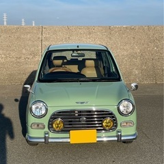 ミラジーノ　フィガロカラー　5mt