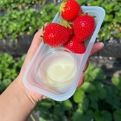 近場のママ友さんほしいです(*ˊᵕˋ*)੭ ﾉ