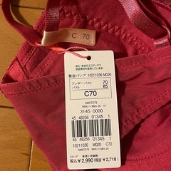 【新品未使用タグ付】 アモスタイル エントリーコレクション 寄せブラ&ショーツ セット  C70 Lサイズの画像