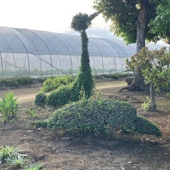 一人親方 作業になります。 − 茨城県