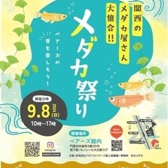 めだかイベント