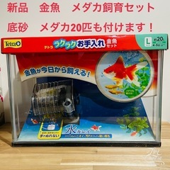 テトラ　水槽、フィルター、底砂、メダカ20匹セット