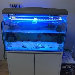 プレココーポレーション製　90 45 45水槽とキャビネット白の画像