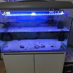 プレココーポレーション製　90 45 45水槽とキャビネット白の画像