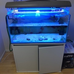 プレココーポレーション製　90 45 45水槽とキャビネット白の画像