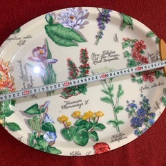 トレイ5枚の画像